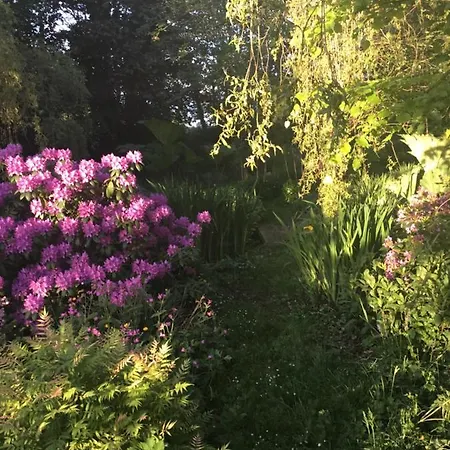 Mary Cottage At Tonylion House Holiday home Cavan